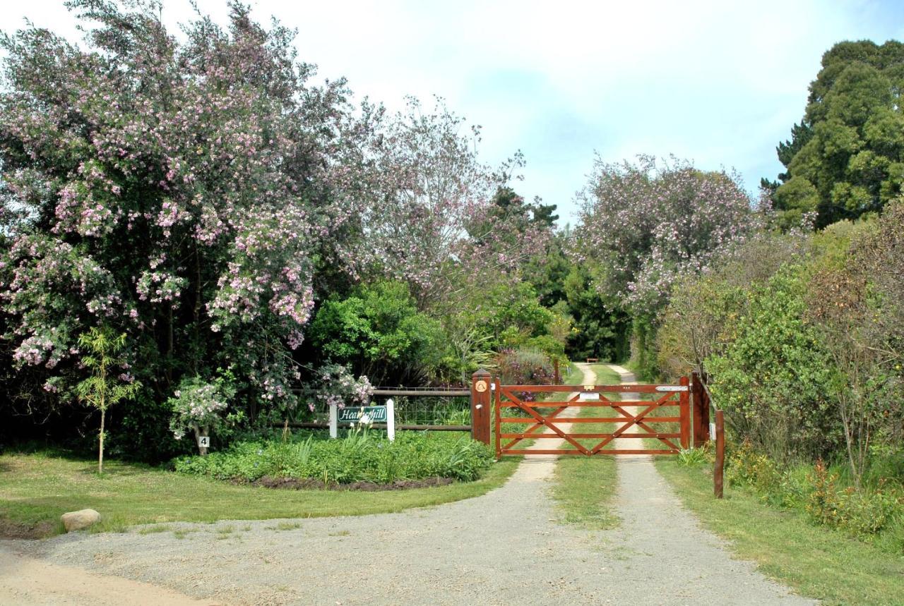 Heatherhill Farmhouse - Sea & Mountain Views Plettenberg Bay Exterior foto